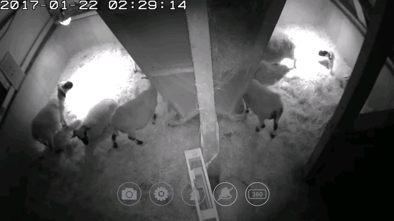 Screenshot_20170122-022908